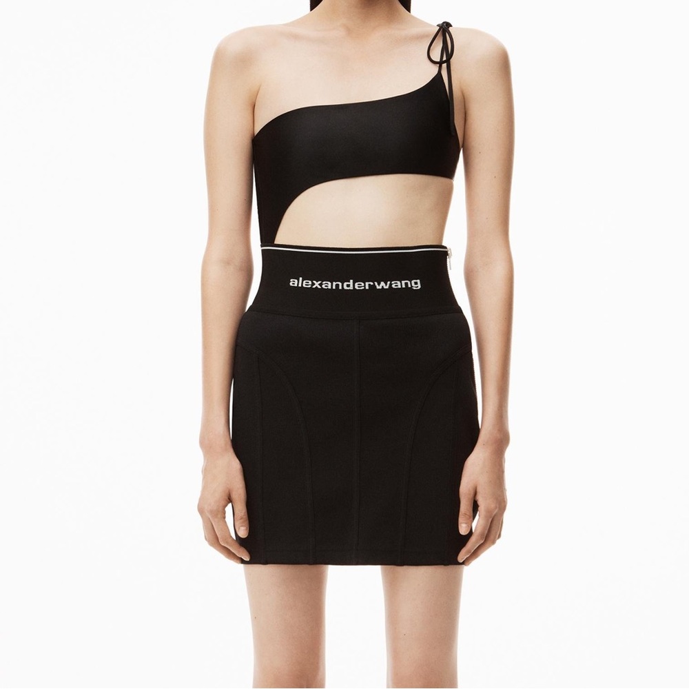 Alexander wang skirt